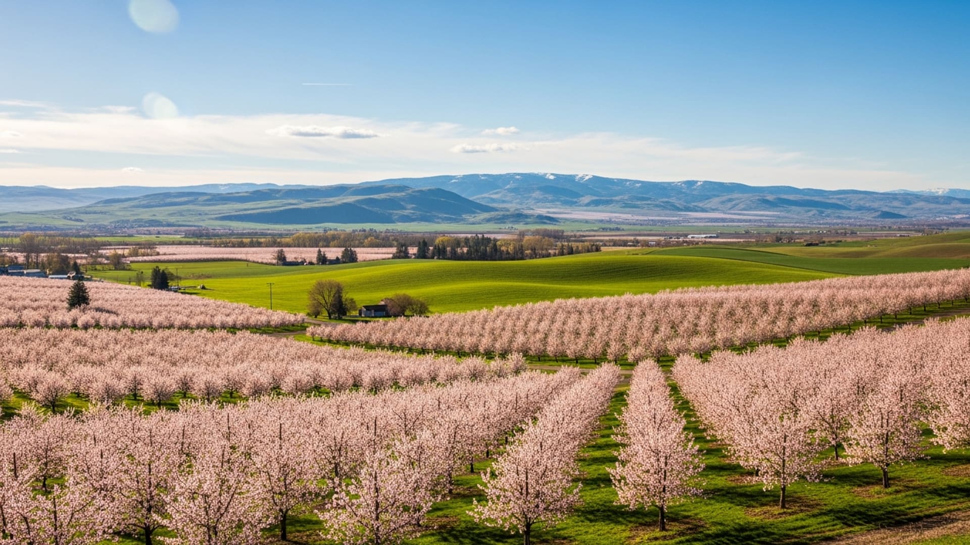 Security Systems installation in Emmett, Idaho by Treasure Valley Solutions