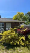 Comprehensive Smart Security Upgrade in Meridian with Ring System